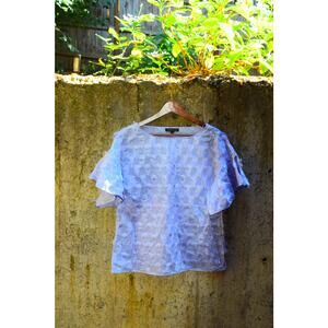 Banana Republic Purple Sheer Ruffle Front Blouse – Size S